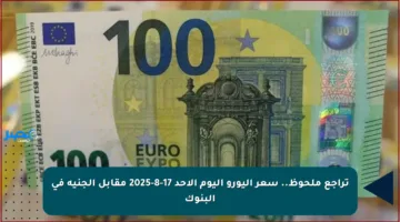تراجع ملحوظ.. سعر اليورو اليوم الأحد 17-8-2025 مقابل الجنيه في البنوك